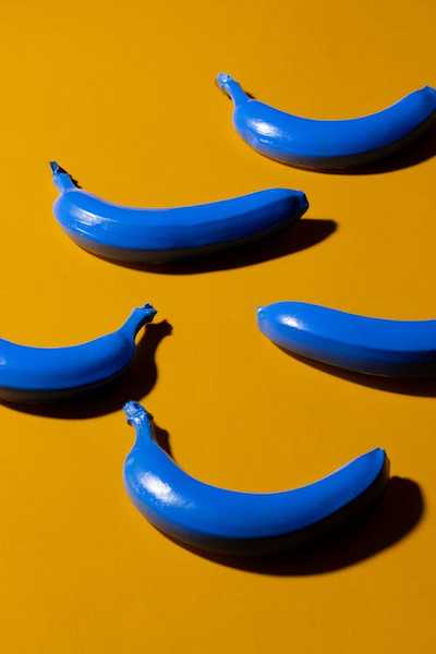 food art design
