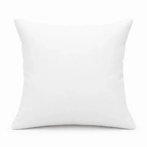 Blank white pillow product source